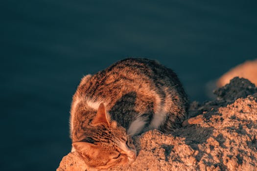 image_1767721286_1