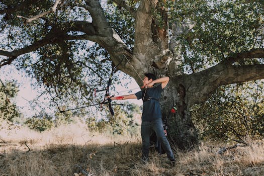 When the Bottom Line Goes South: Unpacking What Happens When a Business Files for Bankruptcy