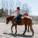 Beyond the Split: Reimagining the Raised Ranch for Modern Living